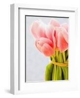 Pink tulips-Ada Summer-Framed Photographic Print