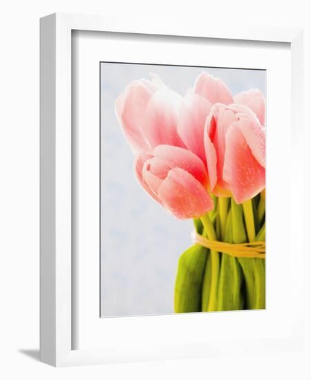 Pink tulips-Ada Summer-Framed Photographic Print