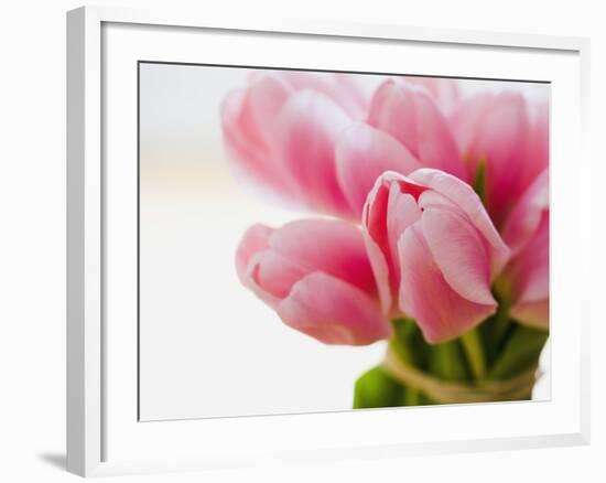 Pink tulips-Ada Summer-Framed Photographic Print