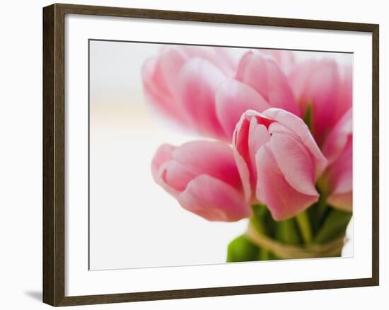 Pink tulips-Ada Summer-Framed Photographic Print