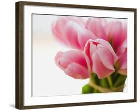 Pink tulips-Ada Summer-Framed Photographic Print