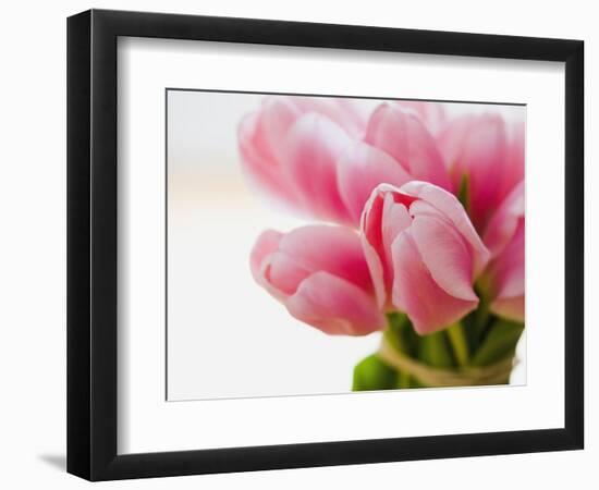 Pink tulips-Ada Summer-Framed Photographic Print