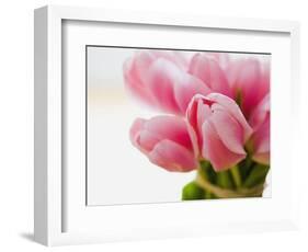 Pink tulips-Ada Summer-Framed Photographic Print