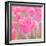 Pink Tulips-melking-Framed Photographic Print