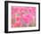 Pink Tulips-melking-Framed Photographic Print