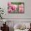 Pink Tulips-Cora Niele-Photographic Print displayed on a wall