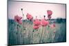 Pink Tulips-Adelino Gonçalves-Mounted Photographic Print