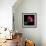 Pink Tulips-Magda Indigo-Framed Photographic Print displayed on a wall
