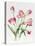 Pink Tulips-Sally Crosthwaite-Stretched Canvas