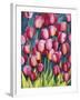 Pink Tulips-Mary Russel-Framed Giclee Print