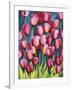 Pink Tulips-Mary Russel-Framed Giclee Print