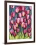 Pink Tulips-Mary Russel-Framed Giclee Print