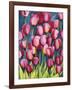 Pink Tulips-Mary Russel-Framed Giclee Print