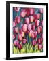 Pink Tulips-Mary Russel-Framed Giclee Print