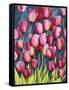Pink Tulips-Mary Russel-Framed Stretched Canvas