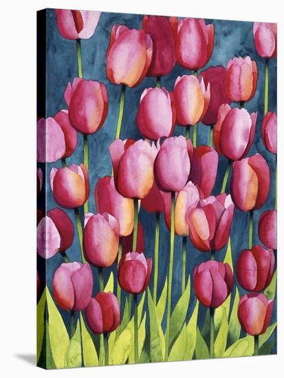 Pink Tulips-Mary Russel-Stretched Canvas