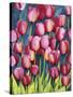 Pink Tulips-Mary Russel-Stretched Canvas