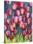Pink Tulips-Mary Russel-Stretched Canvas