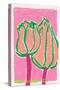 Pink Tulips-Ania Zwara-Stretched Canvas