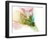 Pink & Turquoise Bloom II-Jennifer Goldberger-Framed Art Print