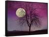 Pink Twilight-Tina Lavoie-Framed Stretched Canvas