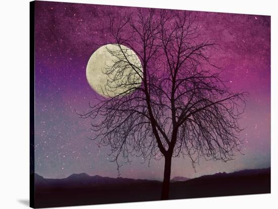 Pink Twilight-Tina Lavoie-Stretched Canvas