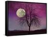 Pink Twilight-Tina Lavoie-Framed Stretched Canvas