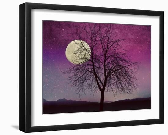 Pink Twilight-Tina Lavoie-Framed Giclee Print
