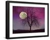 Pink Twilight-Tina Lavoie-Framed Giclee Print