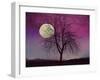 Pink Twilight-Tina Lavoie-Framed Giclee Print