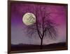 Pink Twilight-Tina Lavoie-Framed Giclee Print