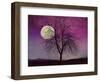 Pink Twilight-Tina Lavoie-Framed Giclee Print