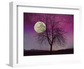 Pink Twilight-Tina Lavoie-Framed Giclee Print