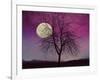 Pink Twilight-Tina Lavoie-Framed Giclee Print