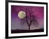 Pink Twilight-Tina Lavoie-Framed Giclee Print