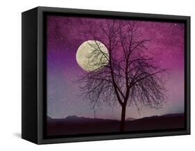 Pink Twilight-Tina Lavoie-Framed Stretched Canvas