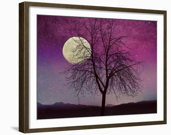 Pink Twilight-Tina Lavoie-Framed Giclee Print