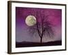 Pink Twilight-Tina Lavoie-Framed Giclee Print