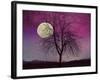 Pink Twilight-Tina Lavoie-Framed Giclee Print