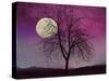 Pink Twilight-Tina Lavoie-Stretched Canvas