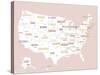 Pink USA Map-Kindred Sol Collective-Stretched Canvas