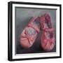 Pink Velvet, 2011-Lee Campbell-Framed Giclee Print