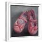 Pink Velvet, 2011-Lee Campbell-Framed Giclee Print