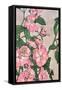 Pink Vine Flowers-Incado-Framed Stretched Canvas