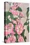 Pink Vine Flowers-Incado-Stretched Canvas