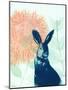 Pink Waratah and Blue Rabbit-Trudy Rice-Mounted Art Print