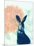 Pink Waratah and Blue Rabbit-Trudy Rice-Mounted Art Print