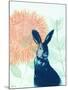 Pink Waratah and Blue Rabbit-Trudy Rice-Mounted Art Print