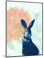 Pink Waratah and Blue Rabbit-Trudy Rice-Mounted Art Print