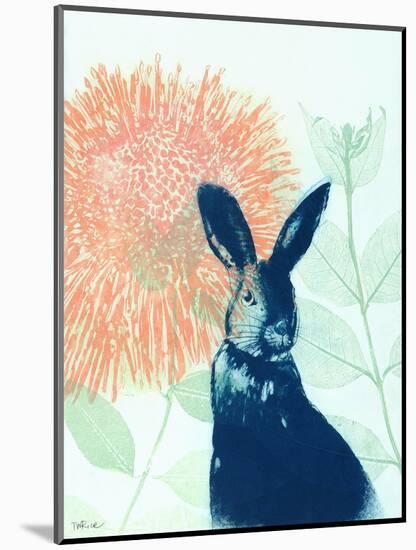 Pink Waratah and Blue Rabbit-Trudy Rice-Mounted Art Print